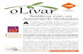 Olivar 2015-09
