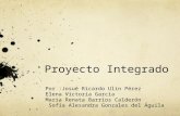 Proyecto integrado 2