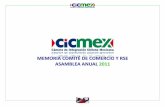Memorias cicmex 2010 pdf