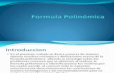 Formula Polinómica Metodologia