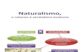FSE1 - naturalismo