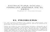 2.4. Estructura Social-familiar Andina en El Perú