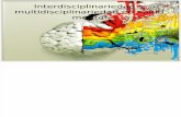 Psicologia de La Salud Interdisciplinariedad y Multidisciplinariedad en Salud Mental