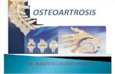 Clases de Osteoartrosis