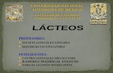 PRODUCTO -LÁCTEOS