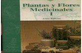 (PDF) Plantas y Flores Medicinales Con Foto