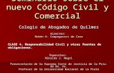 Nuevo Codigo Civil y Comercial - Responsabilidad Civil y Otras Fuentes de Obligaciones