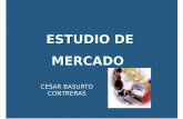 EJEMPLO DE UN ESTUDIO DE MERCADO (2).ppt