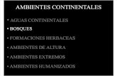 04 - Ambientes Continentales 2-1