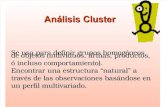 Clusters Pmg