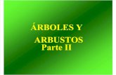 Arboles y Arbustosparte II