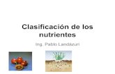 Copia de NUtrientes y Funciones Nutrimentales2 1