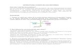 Estructura i funció de les proteïnes(1).pdf