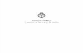 Informe Anual Ministerio Público Fiscal Argentino 2007