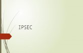 IPSEC Expo Seguridad