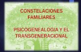 Constelaciones Familiares y Psicogenealogia y El Transgeneracional