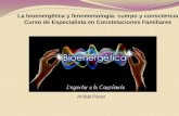 La Bioenergética y Fenomenología