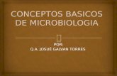 Conceptos Basicos de Microbiologia