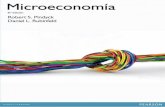 Microecoeconomia pindyck 8 edición