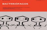Bacteriófagos - Romilio Espejo T.