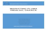 PLAN-DE-MKT-PLUMA 2° parcial docx.pdf