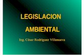 Legislacion y Normatividad 2011