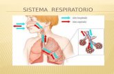 Insuficiencia Respiratoria (2) (1)