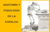 Anatomia y Fisiologa de La Columna Vertebral