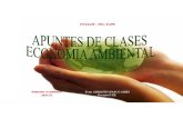 Apuntes de Clase Economía Ambiental 2014-II-PDF