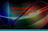 2015 bioelementos biomoleculas (1).pdf