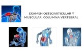 Semiología - Osteomuscular, Muscular y Columna Vertebral