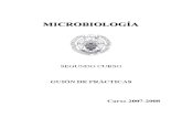 Ppractica de Microbiologia