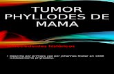 Tumor Phyloides de Mama