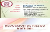 GRUPO 7 -  REDUCCION DE RIEGOS NATURALES.pdf