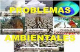 13.- Problemas Ambientales