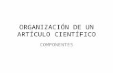 Organización de Un Artículo Científico