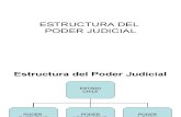 Estructura Del Poder Judicial
