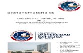 Bionanomateriales 2012 - Arequipa
