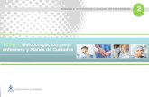 01. Metodologia Enfermera- Proceso de Atención de Enfermeria