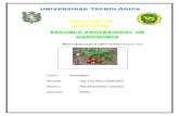 manual  tecnico para el cultivo de  fresa