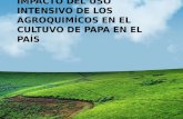 Exposición Impacto de Agroquimicos en El Cultivo de La Papa Final 1.