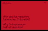 Por qué fracasan las empresas en Colombia