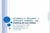Derechos Humanos RISARALDA Colombia 2003-2006