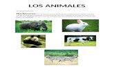 48 Animales