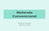 Clase 4 Conminucion Molienda