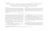 LIPOSARCOMAS - Aspectos clinicos patologicos y moleculares  39-03-02.pdf