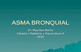Asma Bronquial (Facu) 2