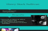 Hawy Stack Sullivan
