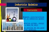 Caracteristicas de La Industria Quimica