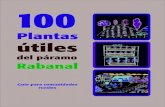 100 Plantas Utiles Del Paramo